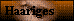Haariges