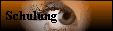 Schulung